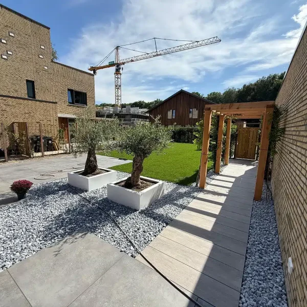 tuinaanleg Aerdenhout - pergola-olijfbomen-grind