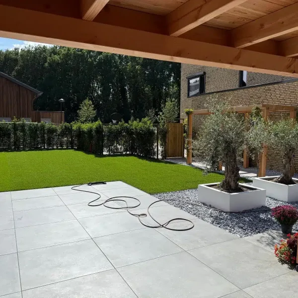 tuinaanleg Aerdenhout - terras-keramische-tegels-met-olijfboom