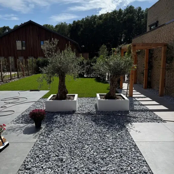 tuinaanleg Aerdenhout - siergrind-met-olijfbomen-in-plantenbakken