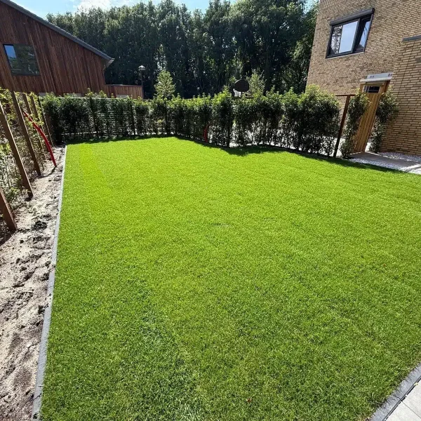Tuinaanleg Aerdenhout - gras-gelegd-achtertuin