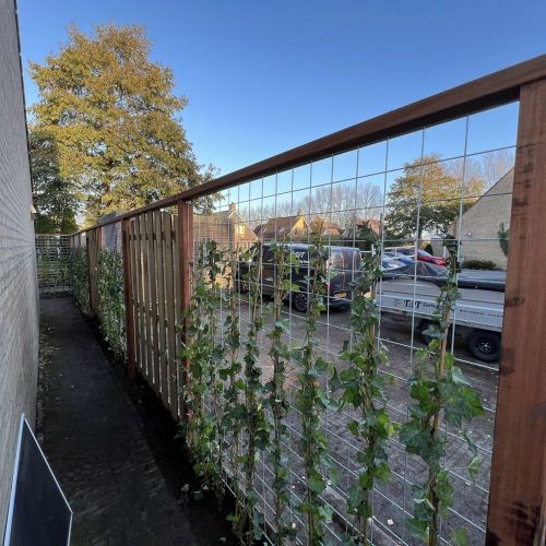 Hardhouten schutting beplanting