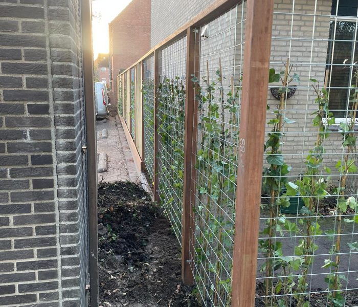 Hekwerk voor klimplanten plaatsen