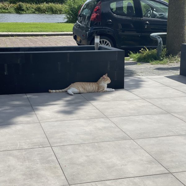Exclusieve voortuin keramische tegels