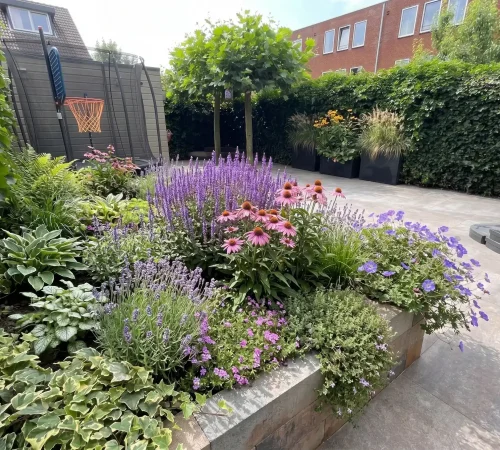 Tuinaanleg-Nieuw-Vennep-plantenbak-clean