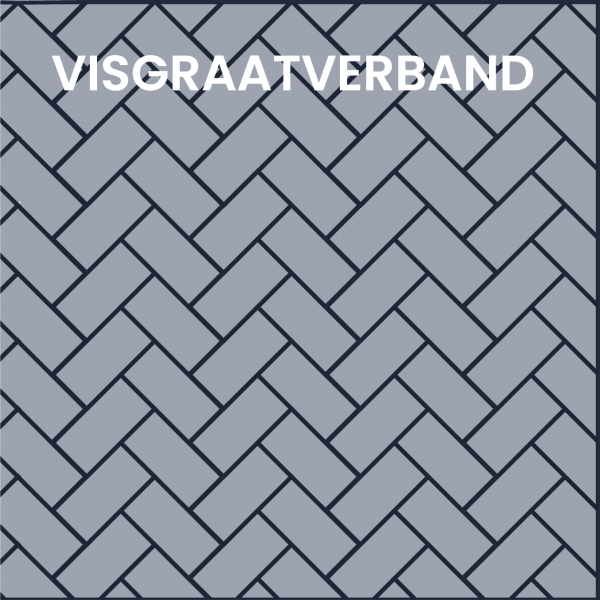 visgraatverband